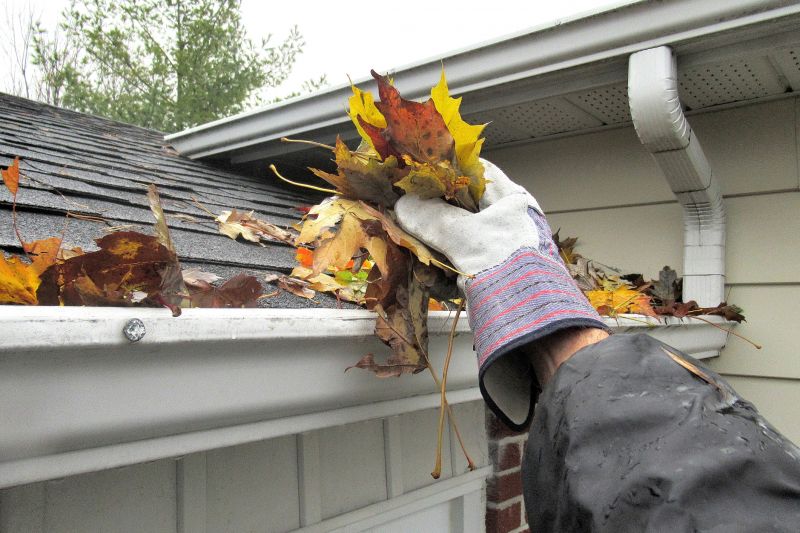 Gutter Shield Installation