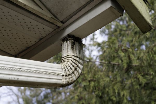 Roof Drain Replacement in Jacksonville